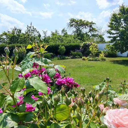 Am Schweriner Aussensee Apartment